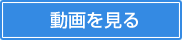動画を見る