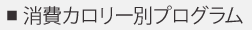 消費カロリープログラム