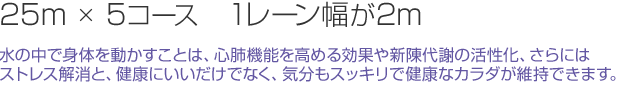 25m×5コース　1レーン幅が2m