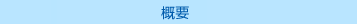 概要